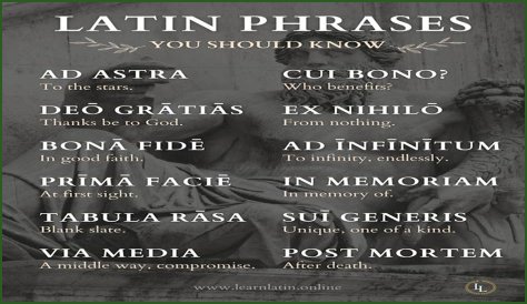 A Profile Of A Latin Beauty